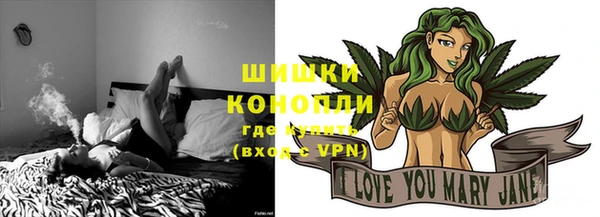 ГАЛЛЮЦИНОГЕННЫЕ ГРИБЫ Коряжма