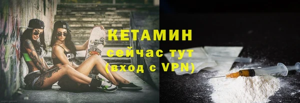 твердый Краснослободск