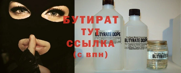 твердый Краснослободск
