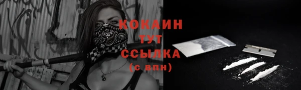 твердый Краснослободск
