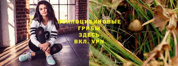ГАЛЛЮЦИНОГЕННЫЕ ГРИБЫ Коряжма