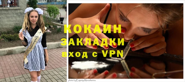 твердый Краснослободск