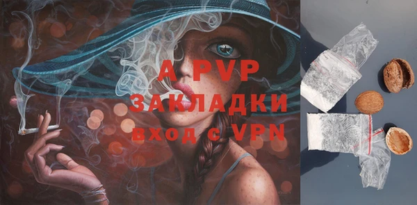 хмурый Корсаков
