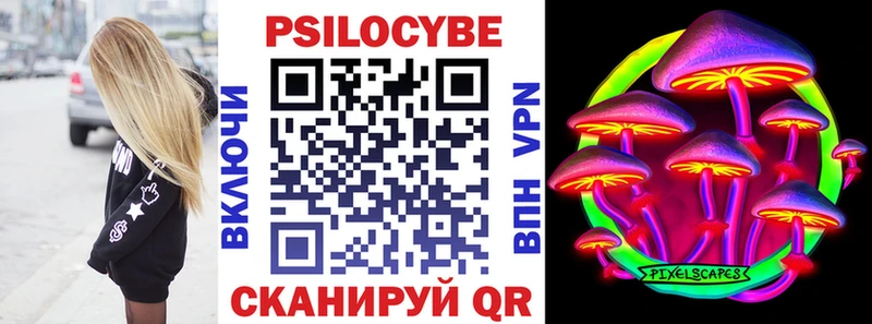 Галлюциногенные грибы Psilocybine cubensis Нерчинск