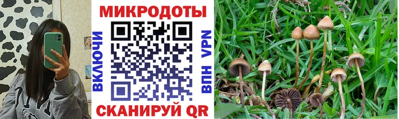 где купить наркоту  Нерчинск  Псилоцибиновые грибы GOLDEN TEACHER 